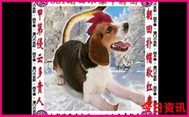 五日游云南旅游攻略